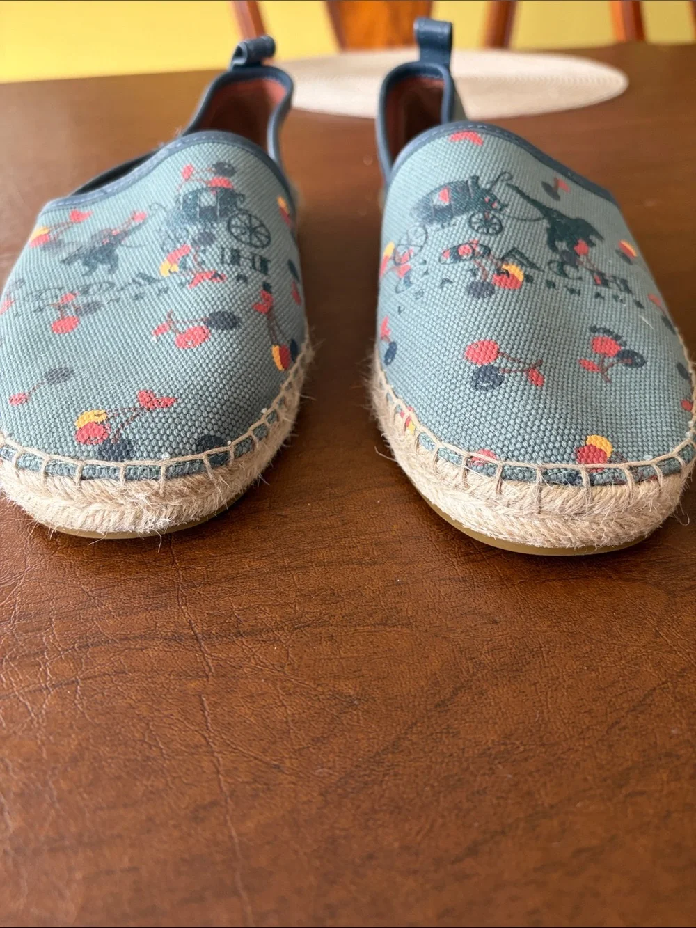Coach Sage Blue Floral Canvas Espadrilles